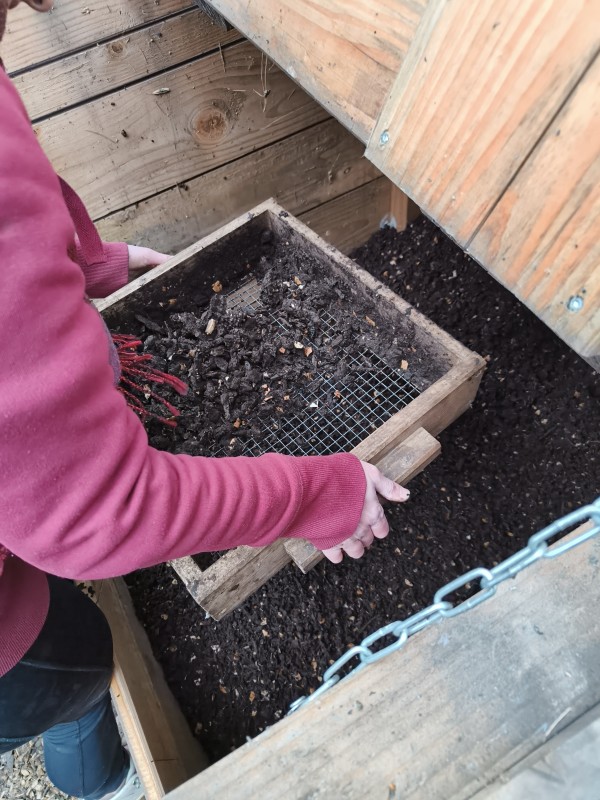 Compost IMG20250329152514
