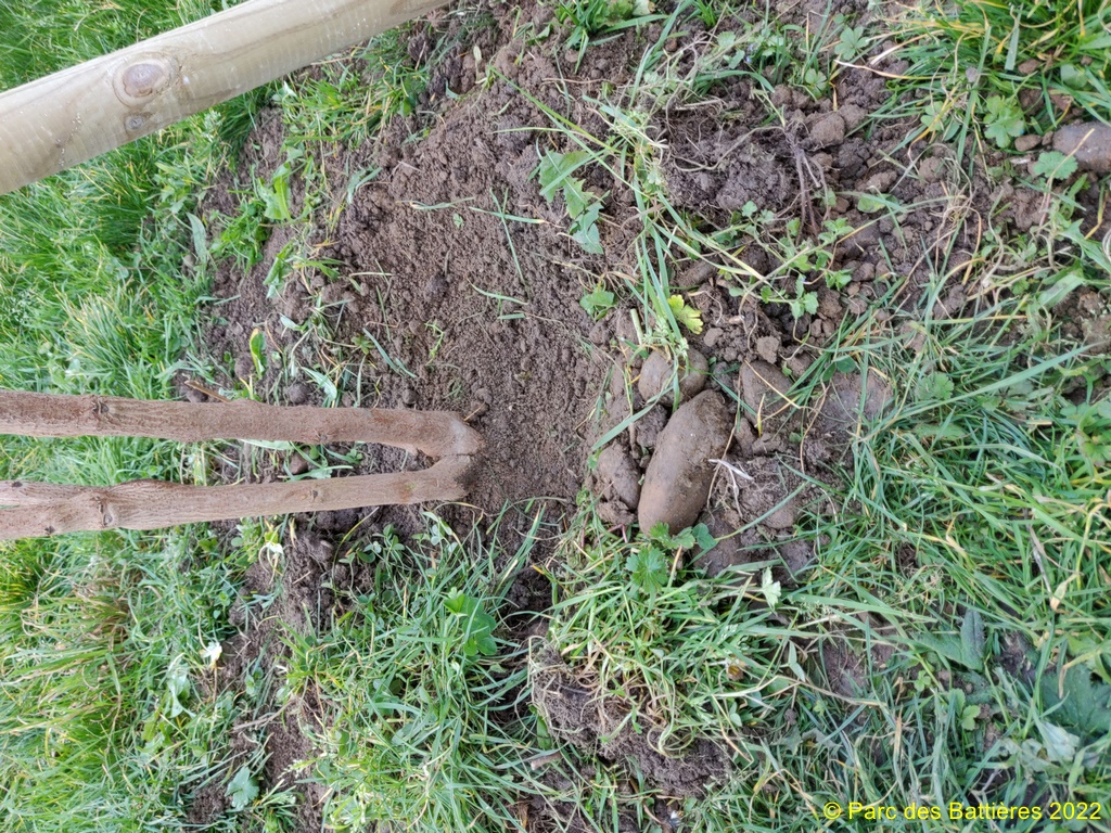 Une nouvelle source de verdure...